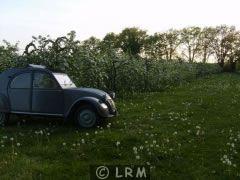 CITRO�N 2CV AZ (Photo 3)