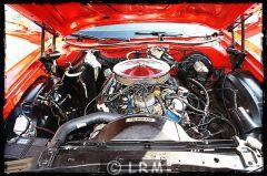 FORD Gran Torino (Photo 5)