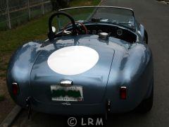 FORD Cobra 289 FIA Replica (Photo 2)