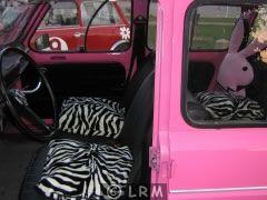 RENAULT 4L (Photo 4)