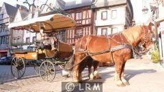 CALECHE  (Photo 1)