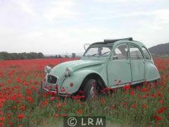 CITRO�N 2CV (Photo 1)