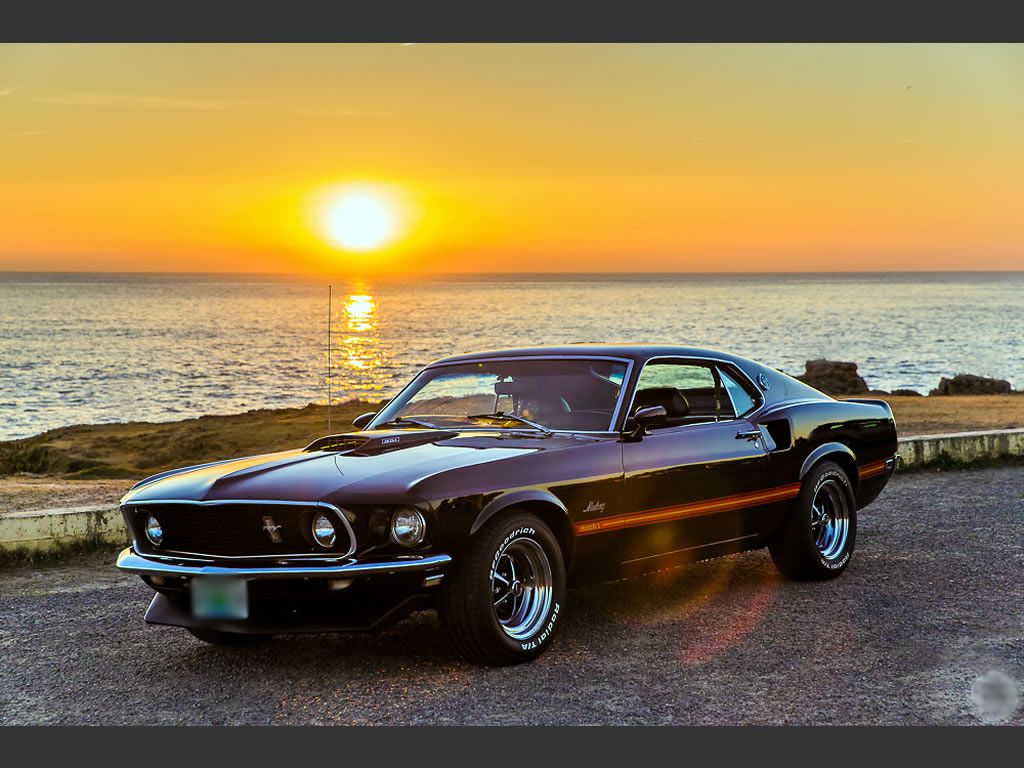 Biggest ford mustang collection #10