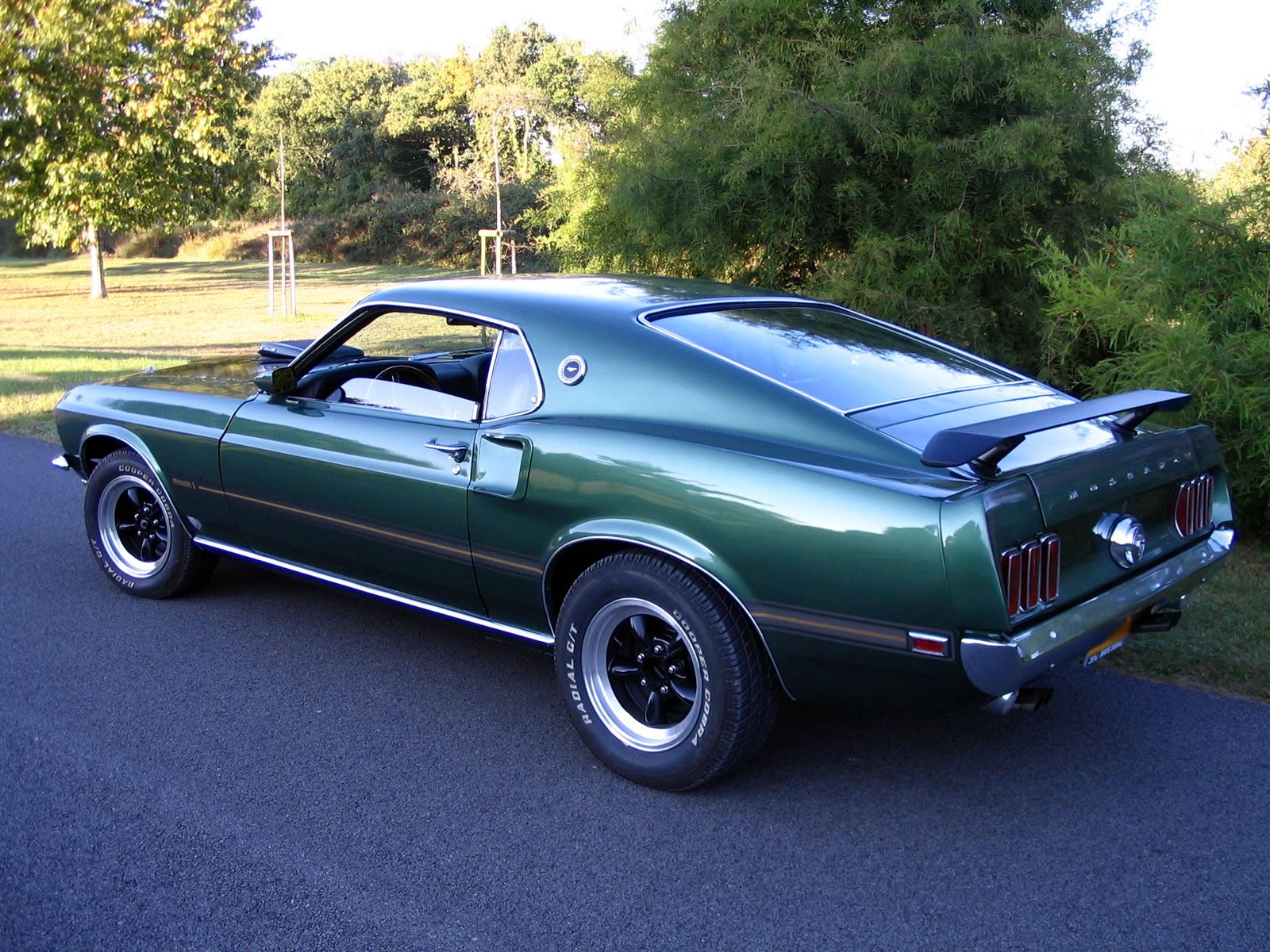 ford mustang boss 429 1969 купить #10