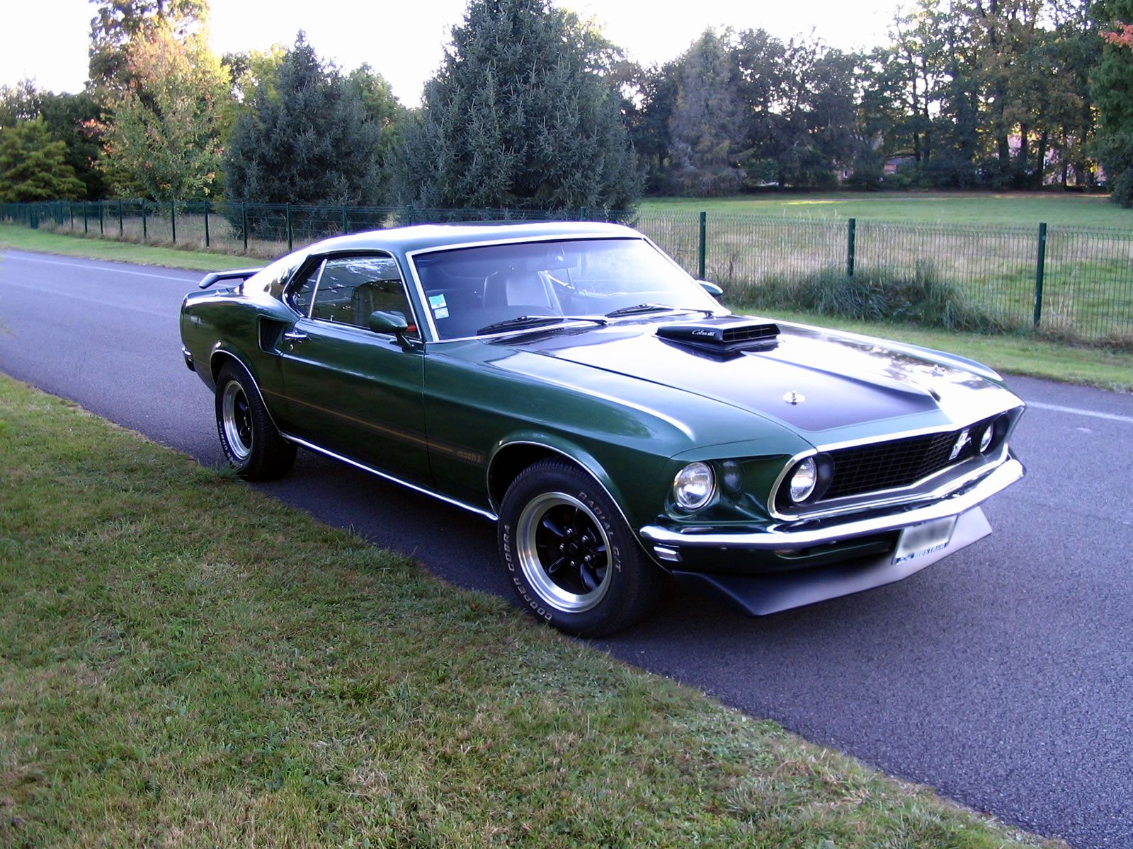 Ford mustang cobra de 1975 #9