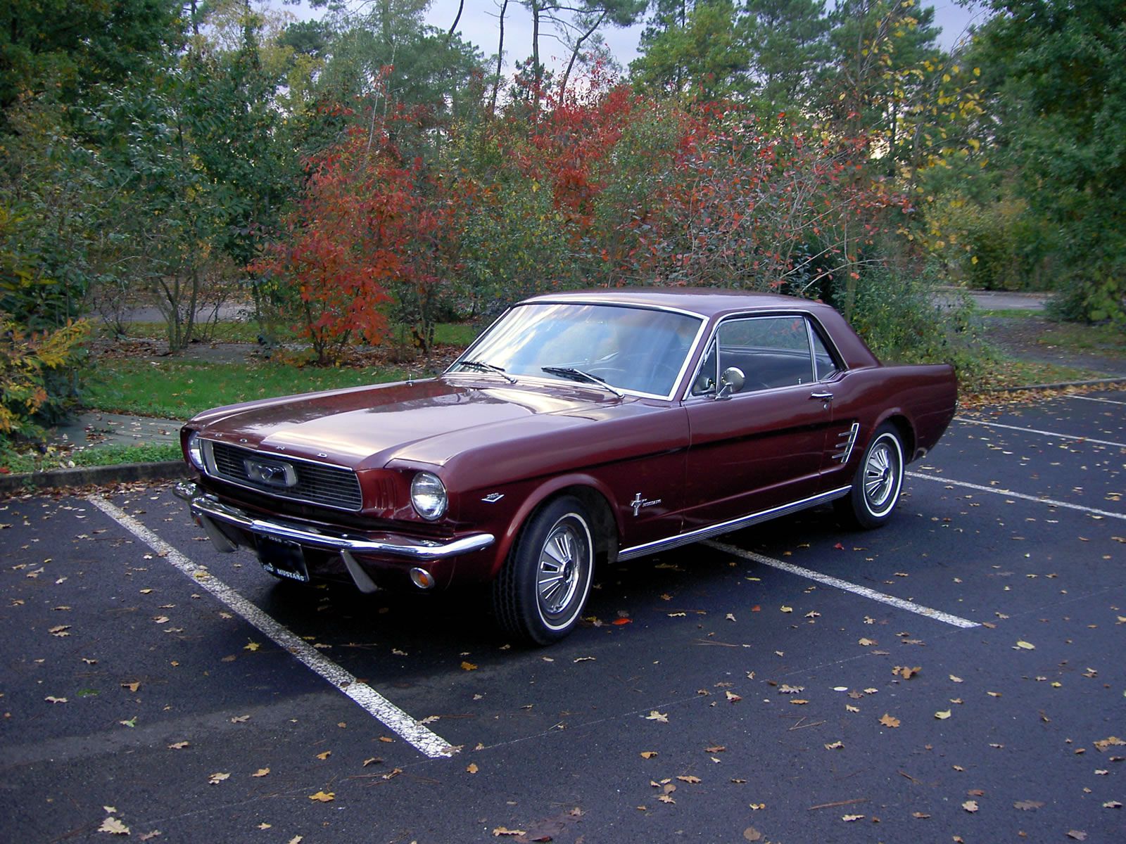 1954 Ford mustang #9