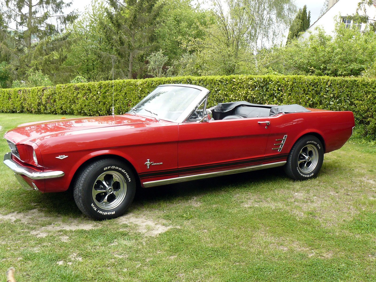 1954 Ford mustang #7