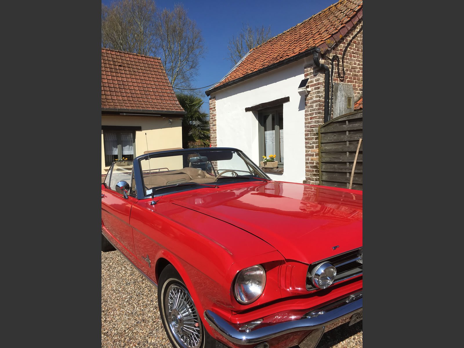 Ford mustang 1961