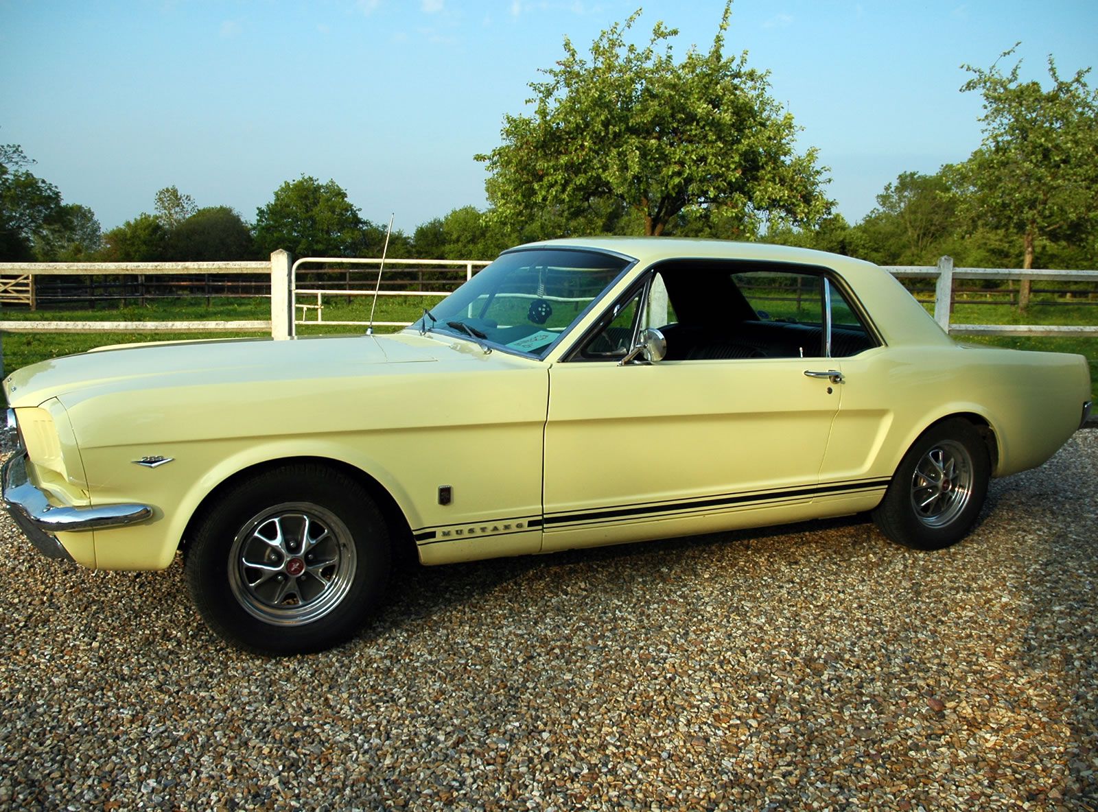 Biggest ford mustang collection #2