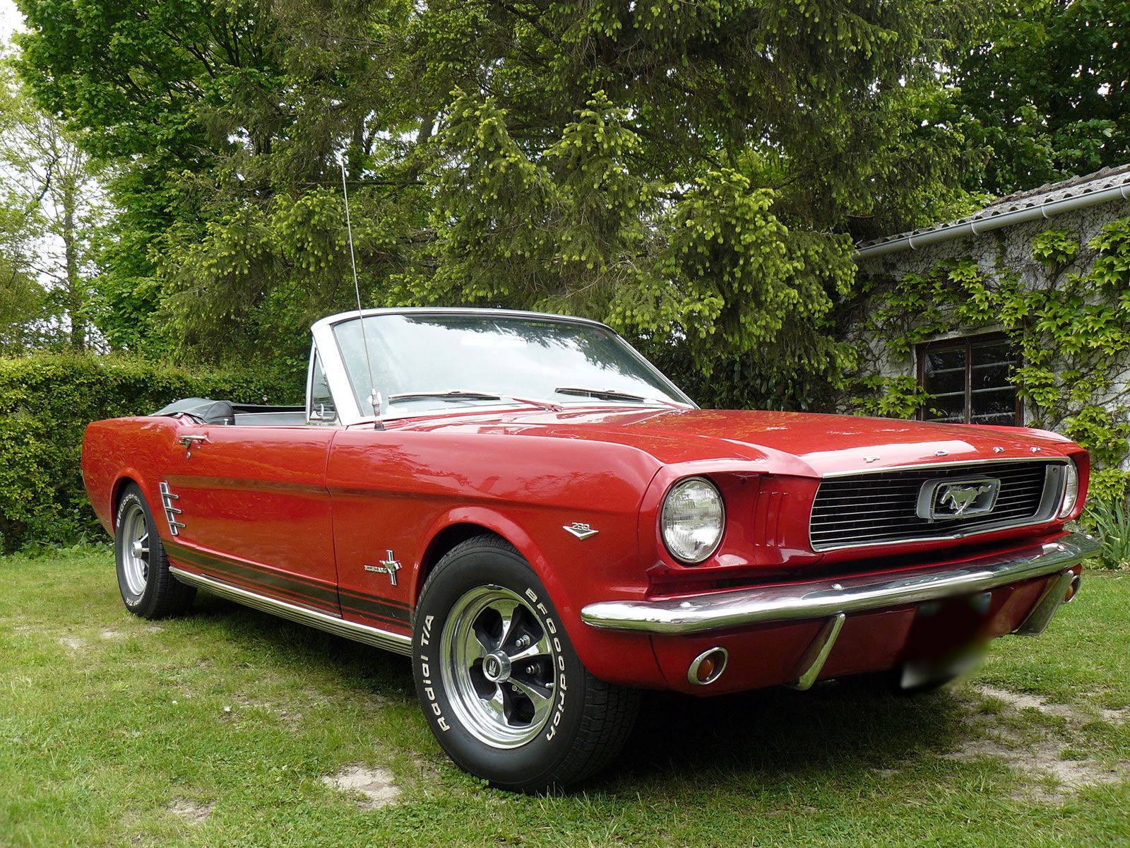 Biggest ford mustang collection #6