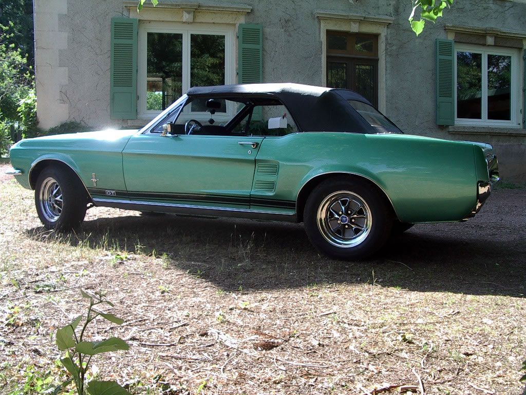 Ford mustang anaversary compilation #8
