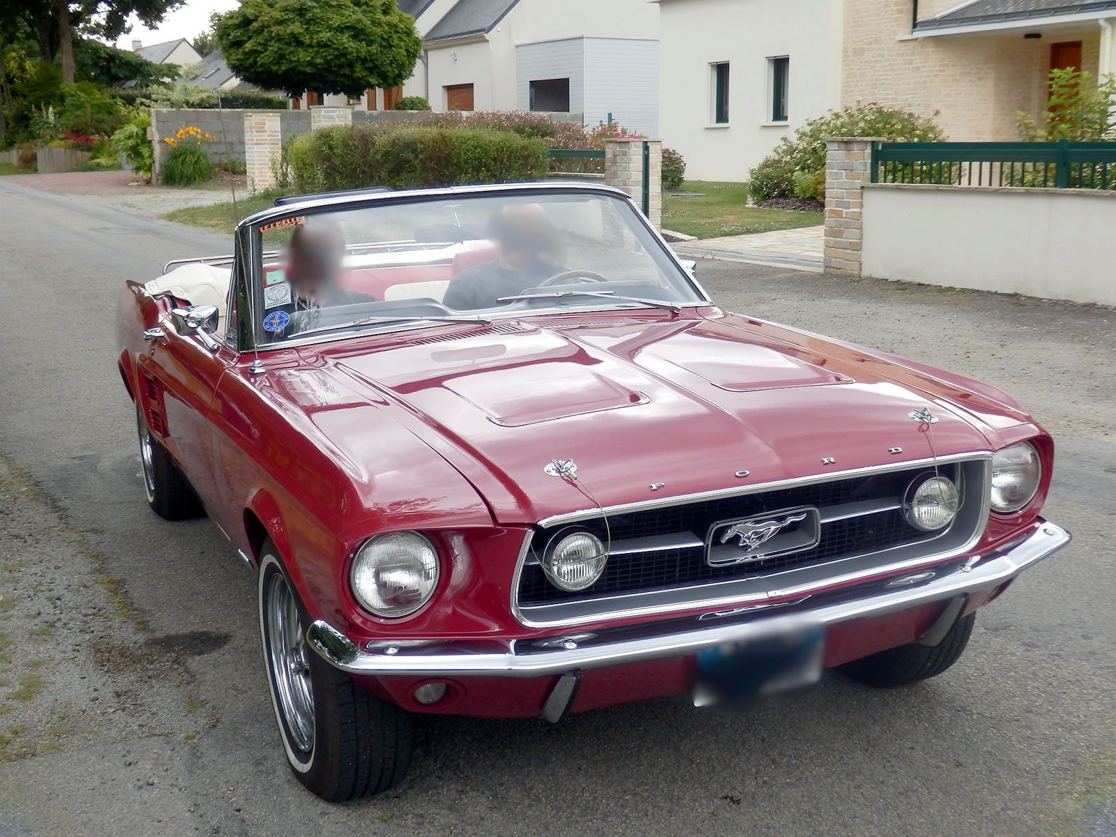 cougar a rennes cougar a rennes