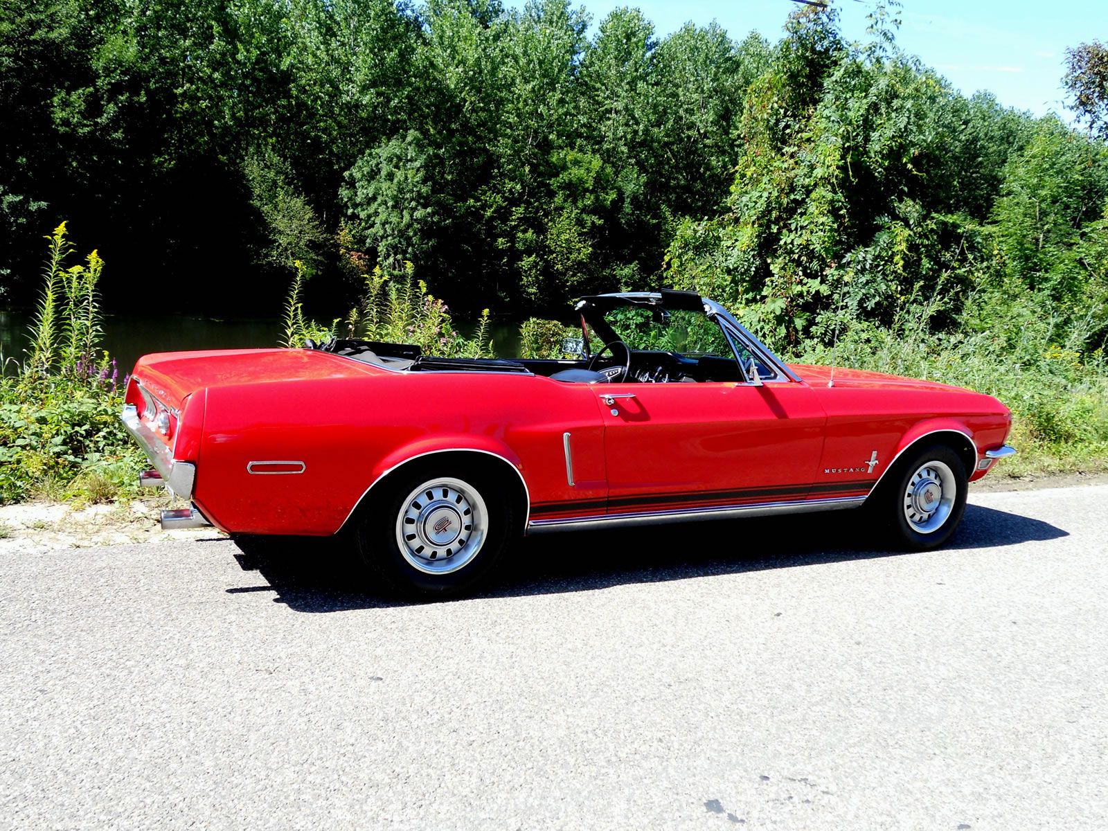 Biggest ford mustang collection #3