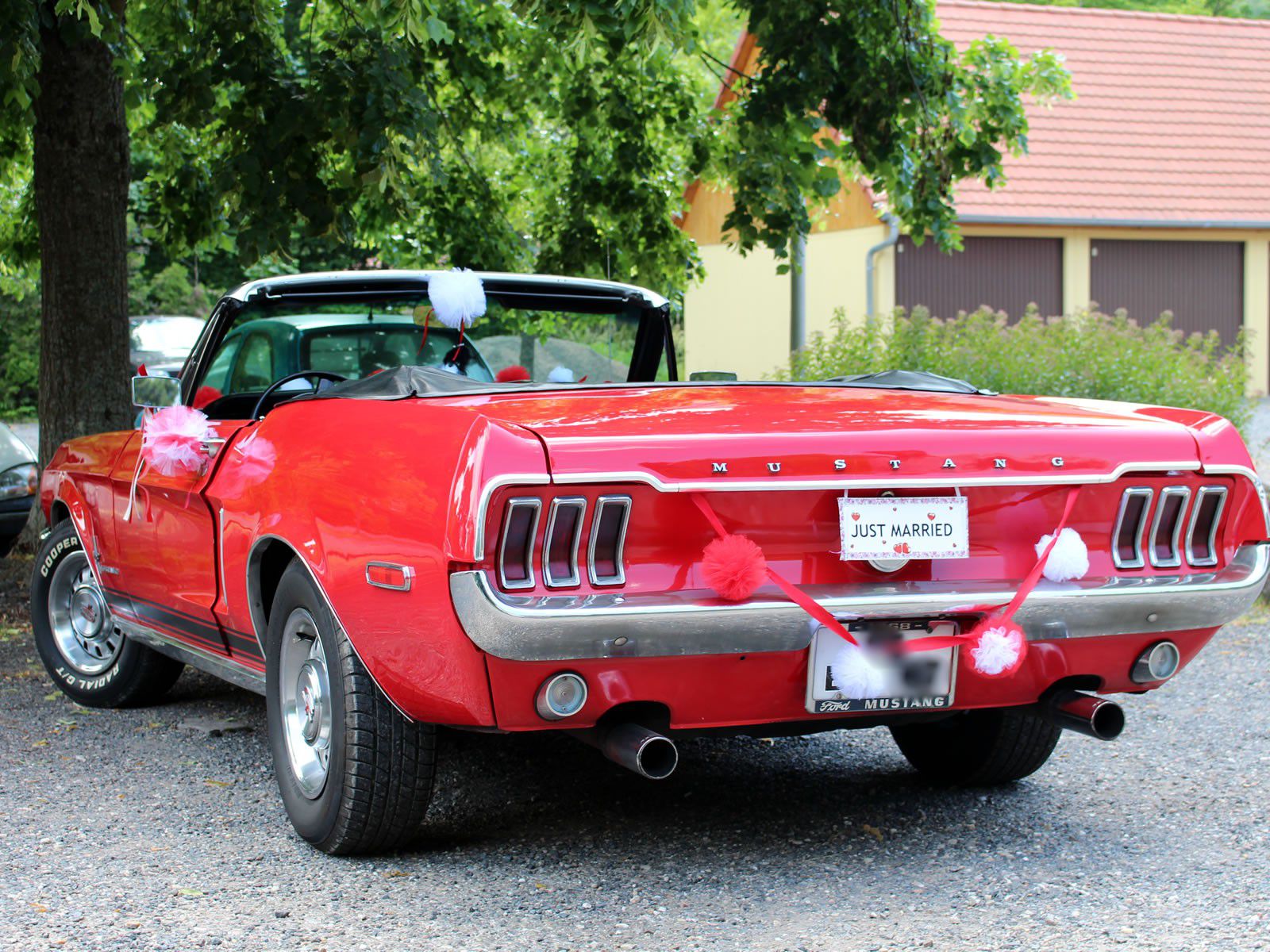 Biggest ford mustang collection