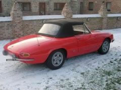 ALFA ROMEO Spider Duetto (Photo 2)