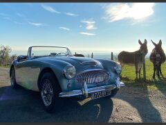 AUSTIN HEALEY 3000 BJ7  (Photo 1)