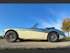 Louer une AUSTIN HEALEY 3000 BJ7  de de 1962 (Photo 2)