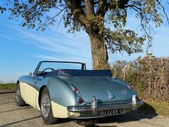 Louer une AUSTIN HEALEY 3000 BJ7  de de 1962 (Photo 4)