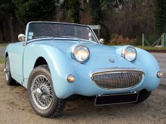 Louer une AUSTIN HEALEY MK 1 Frog de de 1959 (Photo 1)