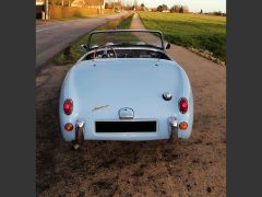 Louer une AUSTIN HEALEY MK 1 Frog de de 1959 (Photo 5)