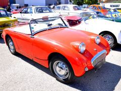 AUSTIN HEALEY MKI Sprite Frogeye (Photo 1)