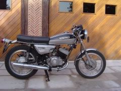 BENELLI 250 2C (Photo 1)