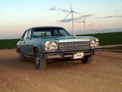 Louer une BUICK Skylark de de 1976 (Photo 2)