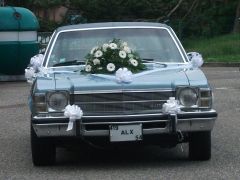 Louer une BUICK Skylark de de 1976 (Photo 4)