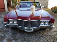 Louer une CADILLAC Coupé Deville de de 1969 (Photo 3)