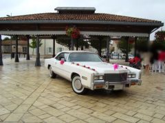 Louer une CADILLAC Eldorado convertible de de 1976 (Photo 3)