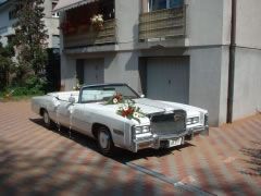 Louer une CADILLAC Eldorado de de 1976 (Photo 4)