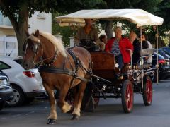 Louer une CALECHE  de de 1900 (Photo 2)