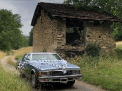 Louer une CHEVROLET Caprice Classic  de 1978 (Photo 1)