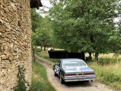 Louer une CHEVROLET Caprice Classic  de de 1978 (Photo 3)