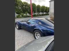 Louer une CHEVROLET Corvette 250CV de de 1981 (Photo 3)