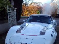 Louer une CHEVROLET Corvette C3 de de 1979 (Photo 1)
