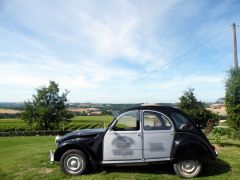 Louer une CITROËN 2CV 6 spéciale de de 1988 (Photo 2)