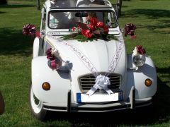 CITROËN 2CV avec Remorque (Photo 1)