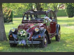 Louer une CITROËN 2CV Charleston de 1981 (Photo 2)