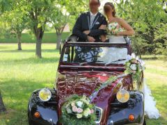 Louer une CITROËN 2CV Charleston de de 1981 (Photo 3)