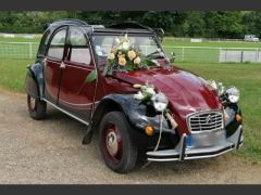 Louer une CITROËN 2CV Charleston de 1985 (Photo 2)