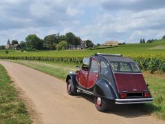 Louer une CITROËN 2CV Charleston de de 1987 (Photo 5)