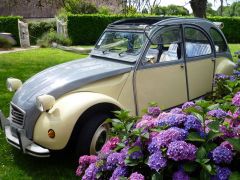 Louer une CITROËN 2CV Dolly de de 1986 (Photo 3)