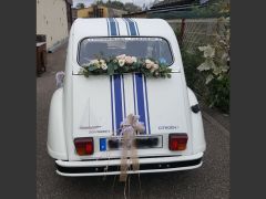 Louer une CITROËN 2CV France 3 Thalassa de de 1982 (Photo 2)