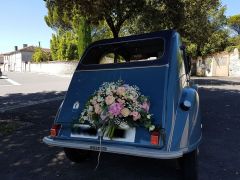 Louer une CITROËN 2CV de de 1956 (Photo 3)