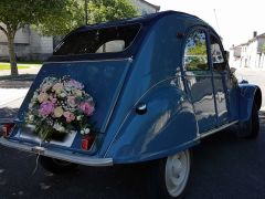 Louer une CITROËN 2CV de de 1956 (Photo 4)