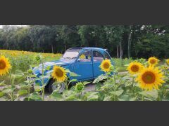 Louer une CITROËN 2CV de de 1983 (Photo 3)