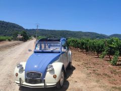 Louer une CITROËN 2CV de de 1986 (Photo 1)