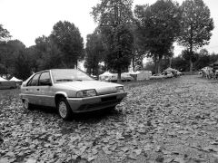 Louer une CITROËN BX de 1992 (Photo 2)