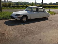 Louer une CITROËN DS 20 de de 1969 (Photo 3)
